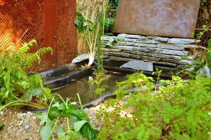 pose bassin de jardin