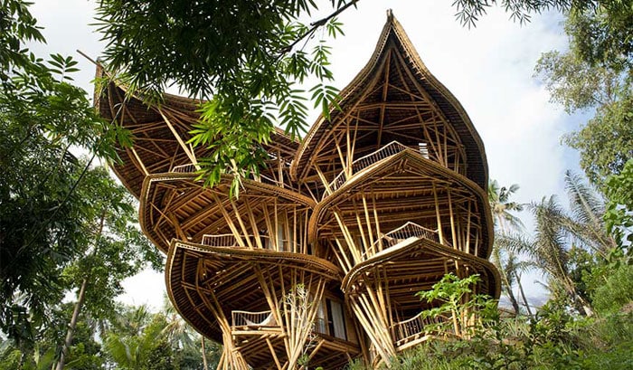 maison bambou