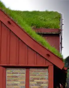 toiture végétalisée