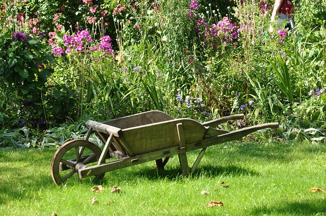 wheelbarrow-g1136f8e9e_640