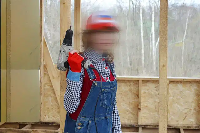 laine de bois isolant