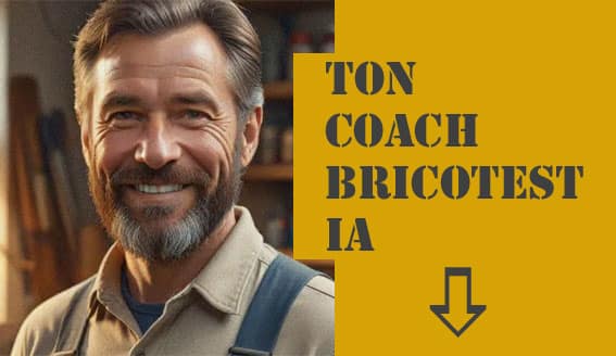 coach brico