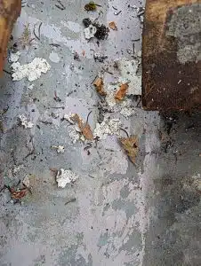 étanchéité noue galvanisée